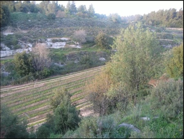 أراضي القرية - ربيع قرية بيت عطاب