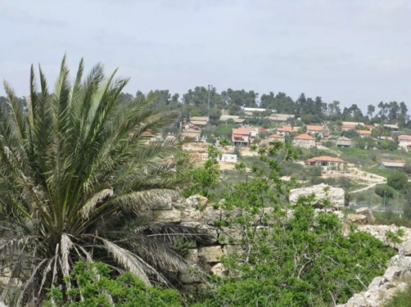 صورة من  قرية بيت عطاب وتظهر فيها مستوطنة نيس حاريم المقامة على أراضي القرية