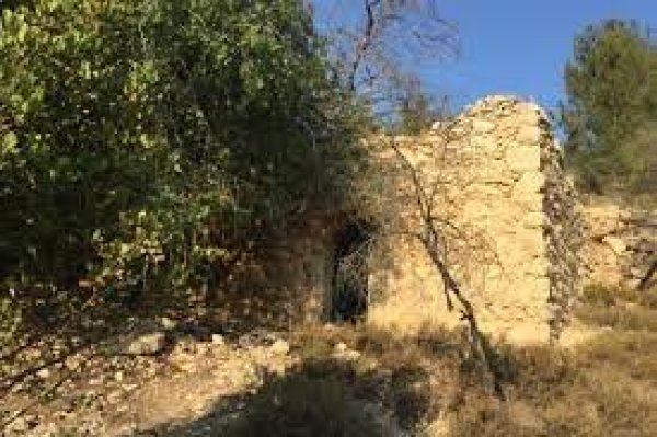 من أراضي ديربان