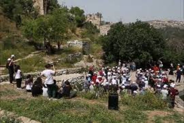 من أراضي ديربان