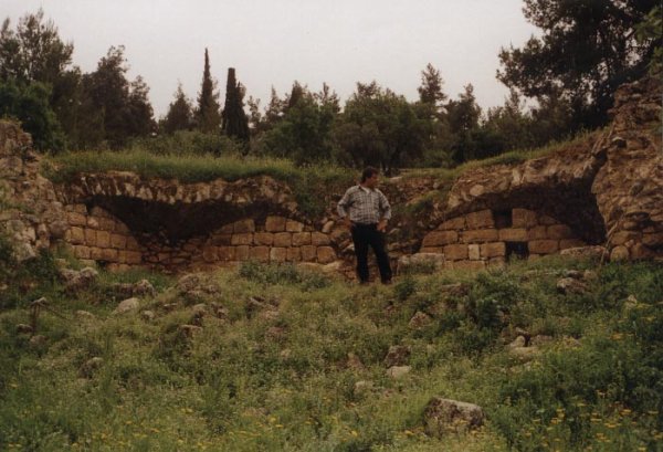 من أراضي ديربان