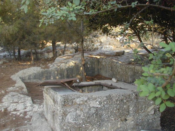 من أراضي ديربان