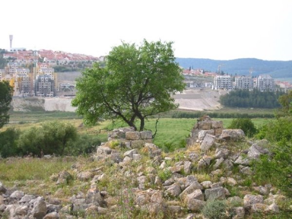 من أراضي ديربان