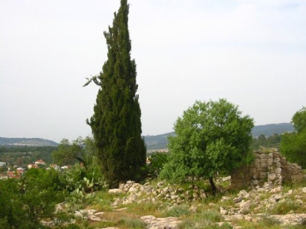 من أراضي ديربان