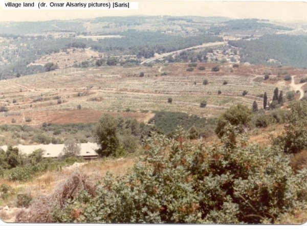 صورة لاراضي قرية ساريس المهجرة