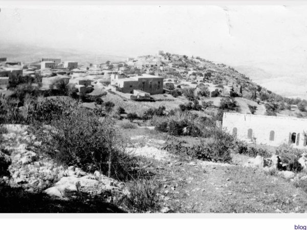 بيوت ساريس قبل النكبة