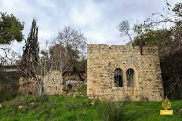 قرية قالونيا للجمال حكاية