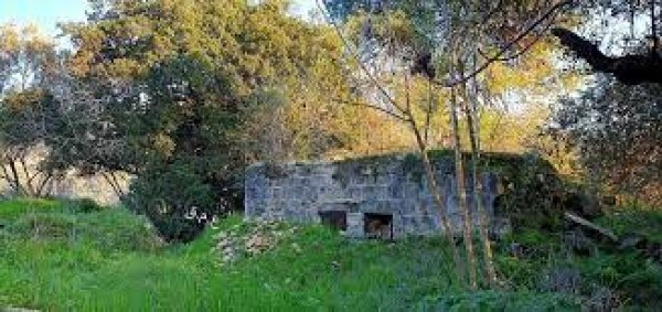 قرية قالونيا للجمال حكاية