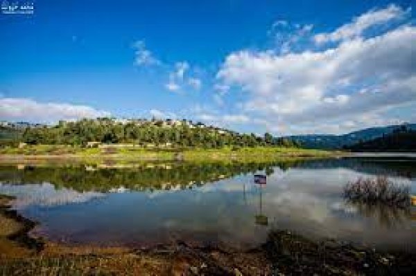 قرية قالونيا للجمال حكاية