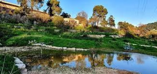 قرية قالونيا للجمال حكاية