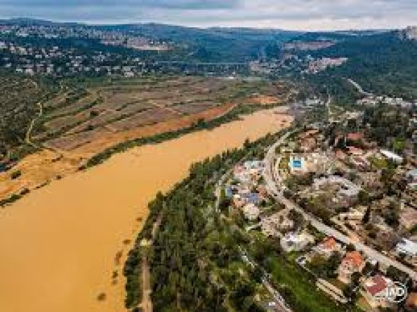 قرية قالونيا للجمال حكاية