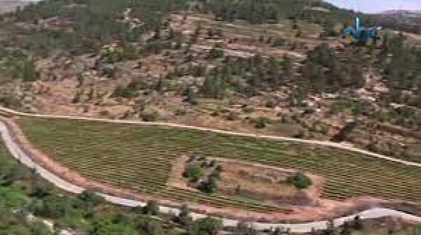 قرية قالونيا للجمال حكاية