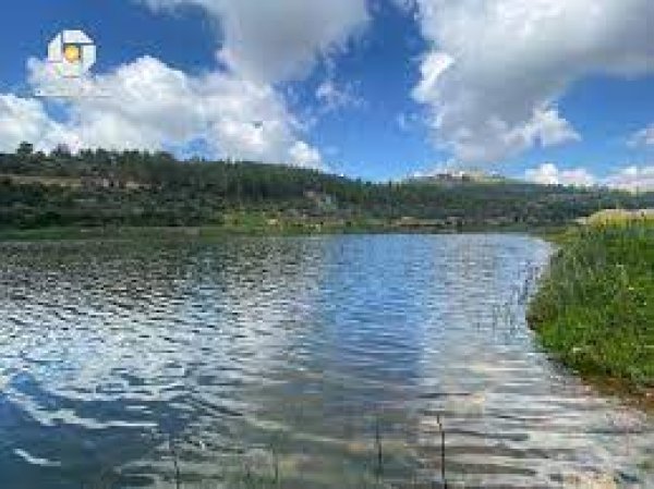 قرية قالونيا للجمال حكاية