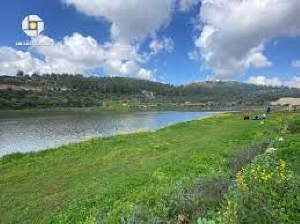 قرية قالونيا للجمال حكاية