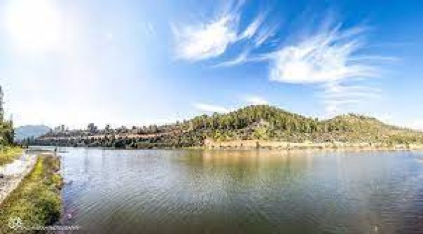 قرية قالونيا للجمال حكاية