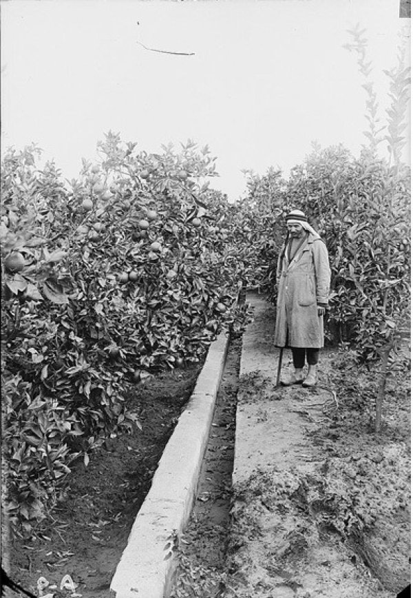 قرية بيت دجن