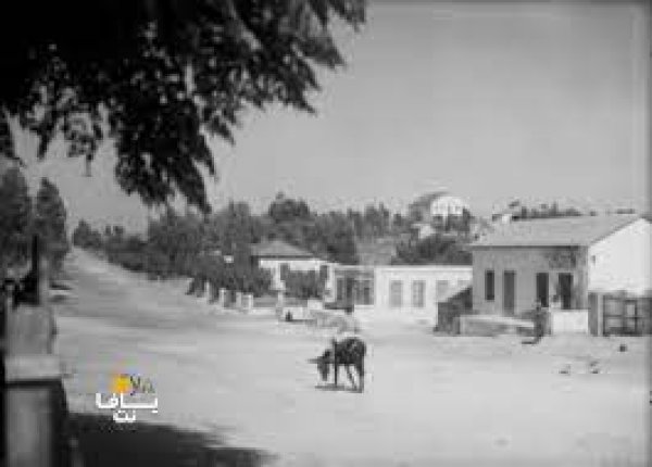 قرية بيت دجن