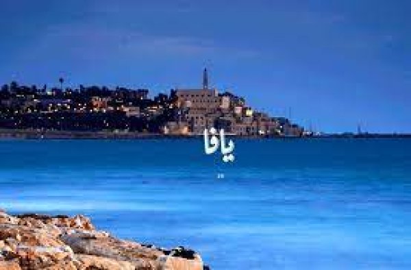 قرية السافرية