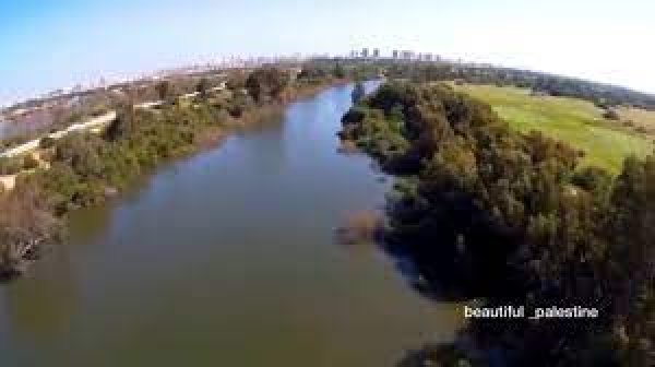 قرية السافرية