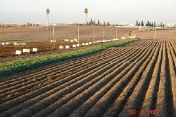 قرية السافرية