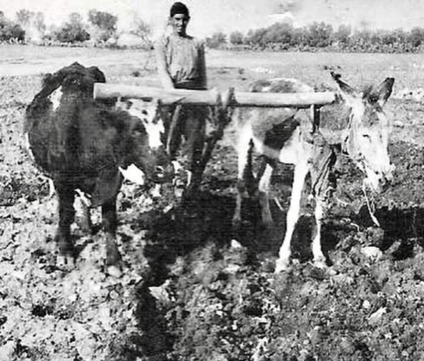  | موسوعة القرى الفلسطينية