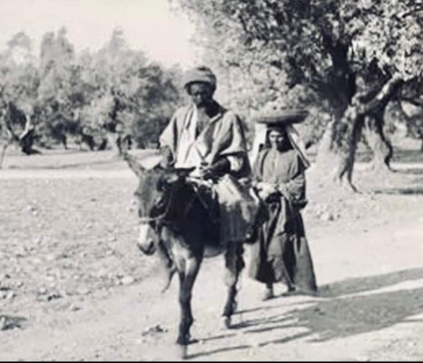  | موسوعة القرى الفلسطينية