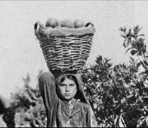  | موسوعة القرى الفلسطينية