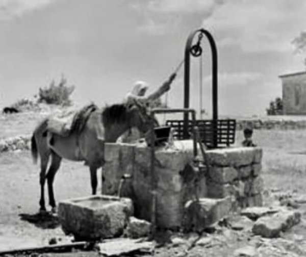  | موسوعة القرى الفلسطينية