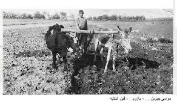  | موسوعة القرى الفلسطينية