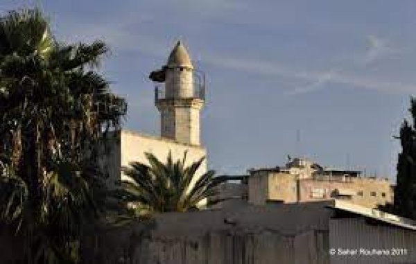 قرية العباسية