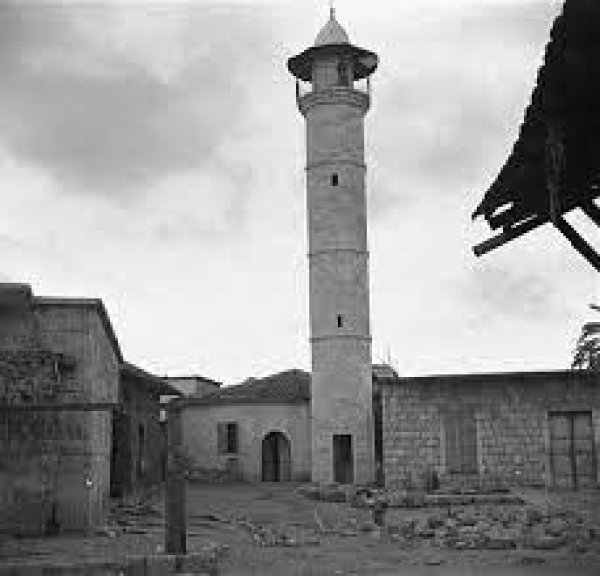 قرية العباسية