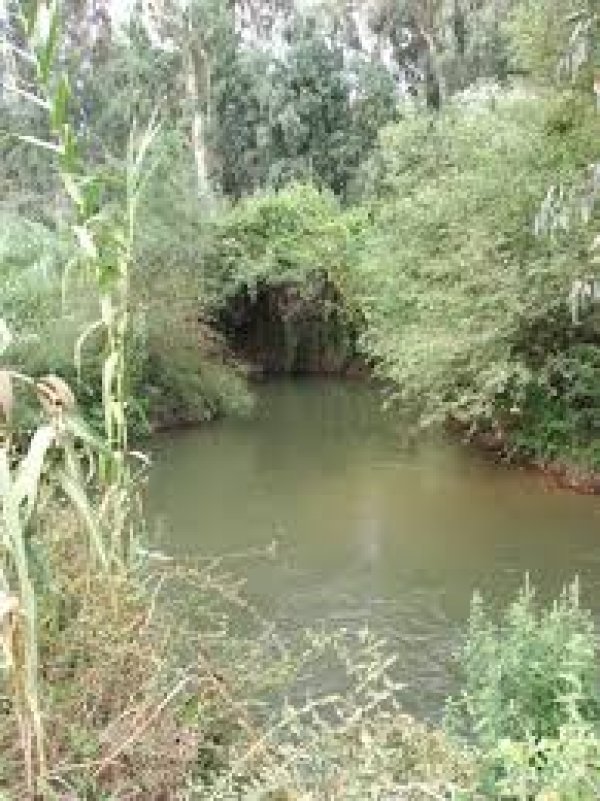 قرية العباسية