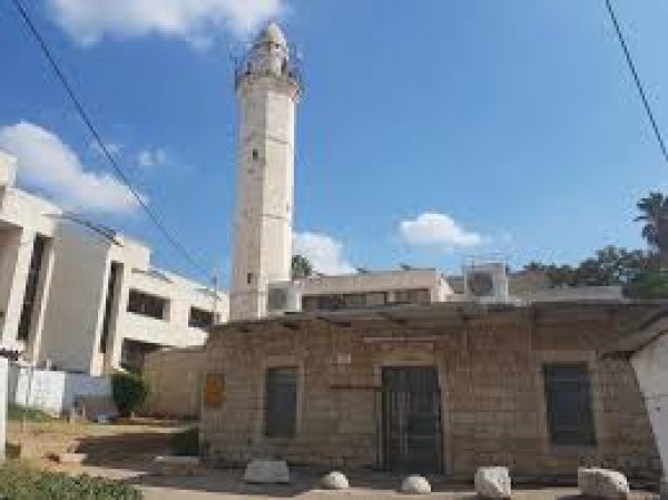 قرية العباسية