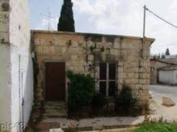 قرية العباسية