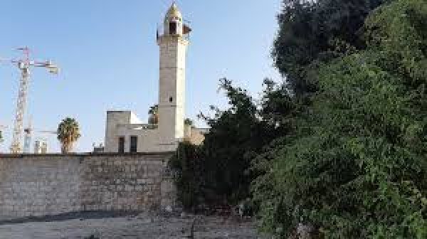 قرية العباسية