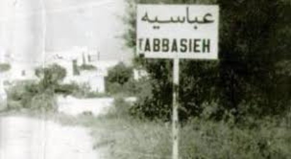 قرية العباسية