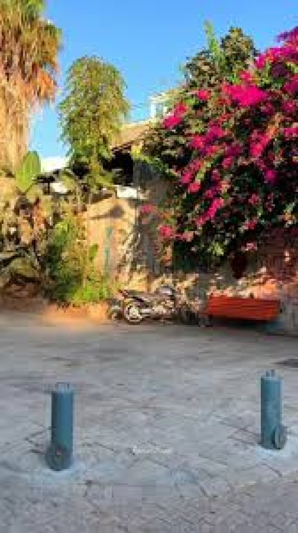 قرية الساقية