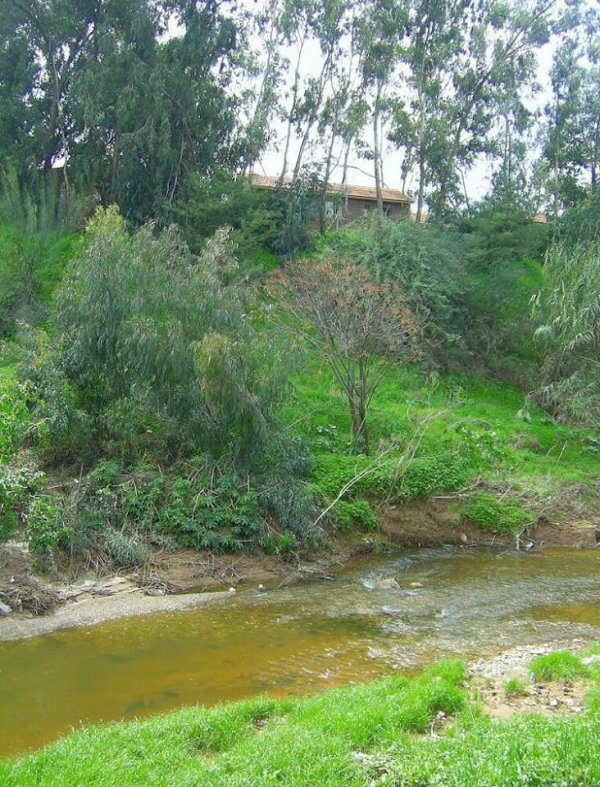 قرية الساقية