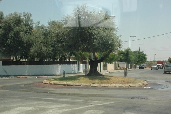 قرية الساقية