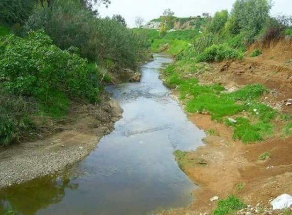 قرية الساقية