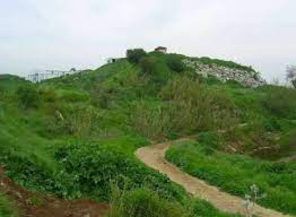 قرية الساقية