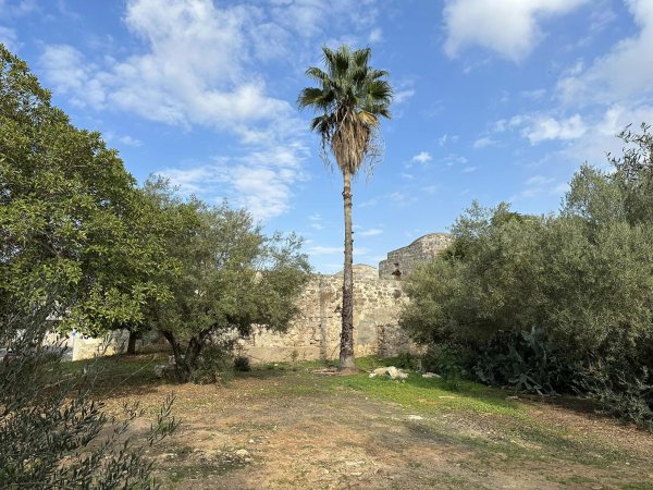  | موسوعة القرى الفلسطينية