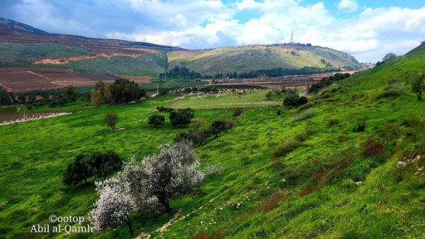  | موسوعة القرى الفلسطينية