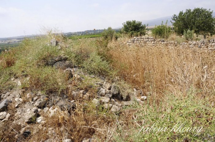 الحُسَيّنِيَة/ اهلها من أصول جزائرية  | موسوعة القرى الفلسطينية