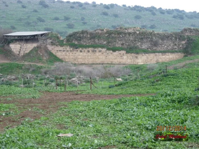 يَرْدَا/ يارْدَا/ قرى المناطق المجردة من السلاح  | موسوعة القرى الفلسطينية