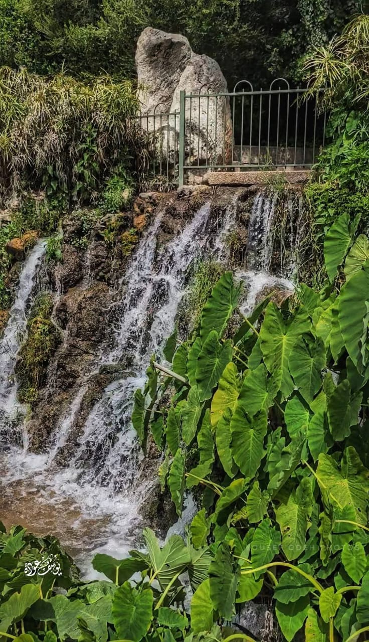  | موسوعة القرى الفلسطينية