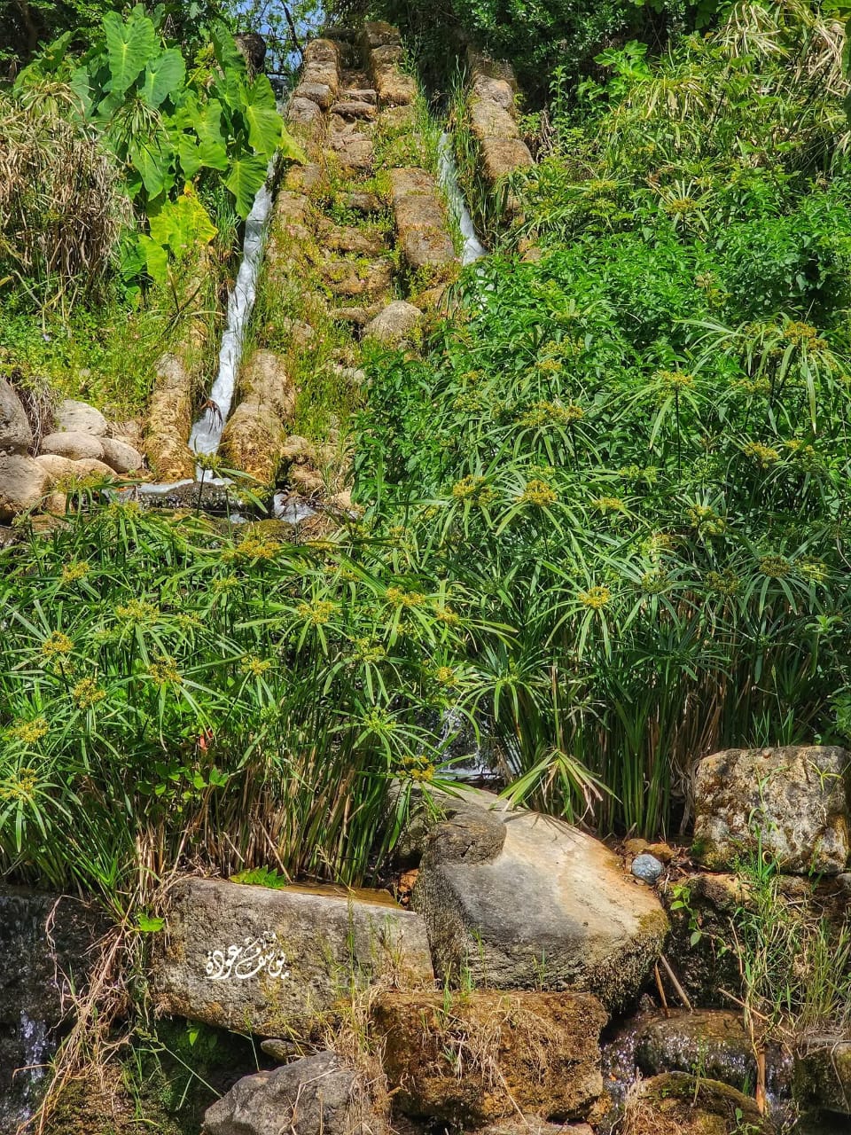  | موسوعة القرى الفلسطينية