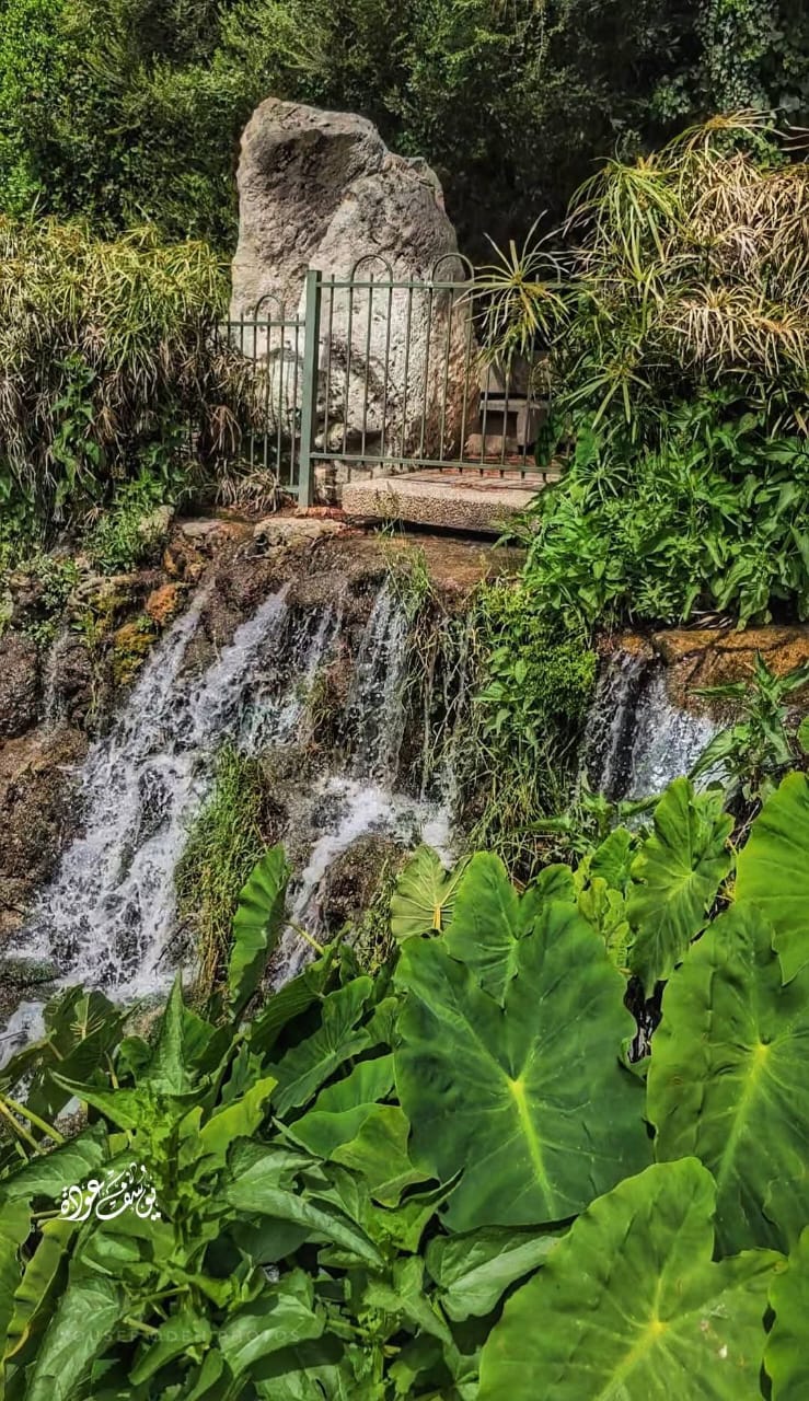  | موسوعة القرى الفلسطينية