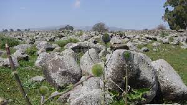  | موسوعة القرى الفلسطينية