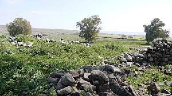  | موسوعة القرى الفلسطينية